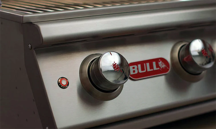 Bull Brahma - Image 4